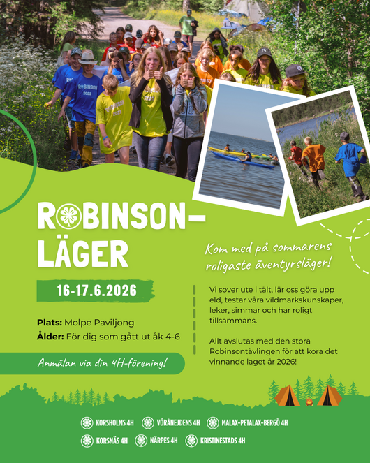 Kopia av Robinson 2025