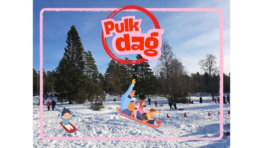 Pulkdag evenemang